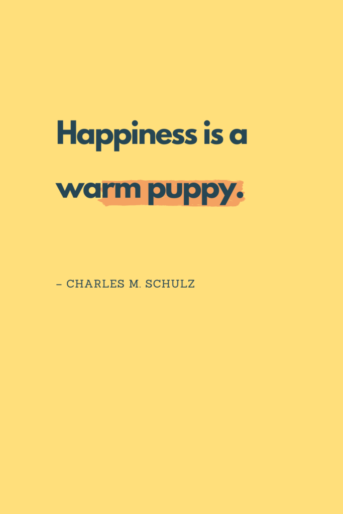 Smile Happiness Quotes 1